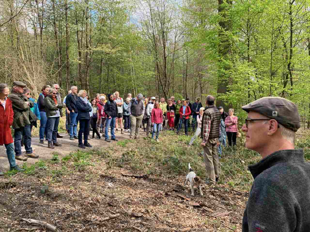 große Gruppe Teilnehmer:innen hören interessiert den Ausführungen über den Wald von Förster Meiercord zu.